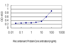 ADAM17 / TACE Antibody - Detection limit for recombinant GST tagged ADAM17 is approximately 3 ng/ml as a capture antibody.