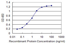 ADRM1 Antibody - Detection limit for recombinant GST tagged ADRM1 is 0.03 ng/ml as a capture antibody.