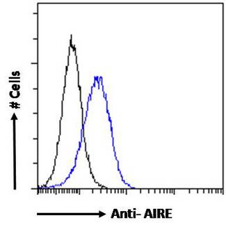 AIRE Antibody - AIRE antibody flow cytometric analysis of paraformaldehyde fixed Jurkat cells (blue line), permeabilized with 0.5% Triton. Primary incubation overnight (10ug/ml) followed by Alexa Fluor 488 secondary antibody (1ug/ml). IgG control: Unimmunized goat IgG (black line) followed by Alexa Fluor 488 secondary antibody.