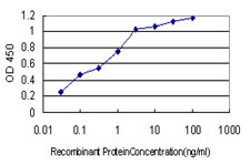 AKR1B10 Antibody - Detection limit for recombinant GST tagged AKR1B10 is approximately 0.03 ng/ml as a capture antibody.