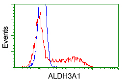 ALDH3A1 Antibody - HEK293T cells transfected with either pCMV6-ENTRY ALDH3A1 (Red) or empty vector control plasmid (Blue) were immunostained with anti-ALDH3A1 mouse monoclonal, and then analyzed by flow cytometry.