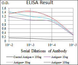 ALK3 / BMPR1A Antibody - Red: Control Antigen (100ng); Purple: Antigen (10ng); Green: Antigen (50ng); Blue: Antigen (100ng);