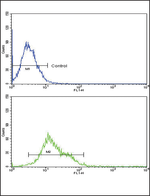 ALOX12 / 12 Lipoxygenase Antibody - ALOX12 Antibody flow cytometry of k562 cells (bottom histogram) compared to a negative control cell (top histogram). FITC-conjugated goat-anti-rabbit secondary antibodies were used for the analysis.