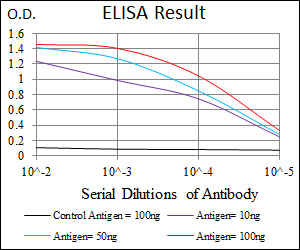 ALPL / Alkaline Phosphatase Antibody - Black: Control Antigen (100ng); Purple: Antigen (10ng); Blue: Antigen (50ng); Red: Antigen (100ng);