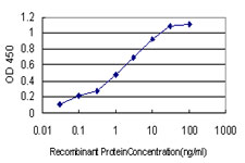 ANXA5 / Annexin V Antibody - Detection limit for recombinant GST tagged ANXA5 is approximately 0.03 ng/ml as a capture antibody.