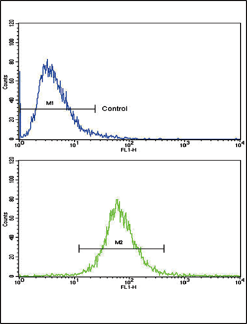 AOC3 / VAP-1 Antibody - Flow cytometric of CEM cells using AOC3 Antibody (bottom histogram) compared to a negative control cell (top histogram). FITC-conjugated goat-anti-rabbit secondary antibodies were used for the analysis.