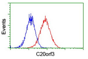 APMAP / C20orf3 Antibody - Flow cytometry of HeLa cells, using anti-C20orf3 antibody (Red), compared to a nonspecific negative control antibody (Blue).