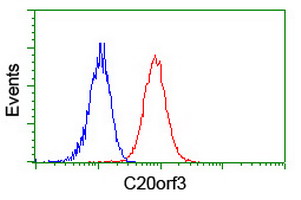 APMAP / C20orf3 Antibody - Flow cytometry of Jurkat cells, using anti-C20orf3 antibody (Red), compared to a nonspecific negative control antibody (Blue).