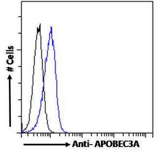 APOBEC3A Antibody - Phorbolin 1 / APOBEC3A antibody flow cytometric analysis of paraformaldehyde fixed Jurkat cells (blue line), permeabilized with 0.5% Triton. Primary incubation 1hr (10ug/ml) followed by Alexa Fluor 488 secondary antibody (1ug/ml). IgG control: Unimmunized goat IgG (black line) followed by Alexa Fluor 488 secondary antibody.
