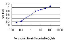 Apolipoprotein A-II Antibody - Detection limit for recombinant GST tagged APOA2 is approximately 0.03 ng/ml as a capture antibody.