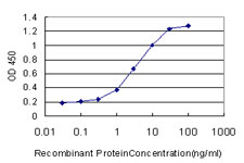 ARNT / HIF-1-Beta Antibody - Detection limit for recombinant GST tagged ARNT is approximately 0.03 ng/ml as a capture antibody.