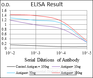 ASS1 / ASS Antibody - Red: Control Antigen (100ng); Purple: Antigen (10ng); Green: Antigen (50ng); Blue: Antigen (100ng);