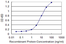 ATF1 Antibody - Detection limit for recombinant GST tagged ATF1 is 0.3 ng/ml as a capture antibody.