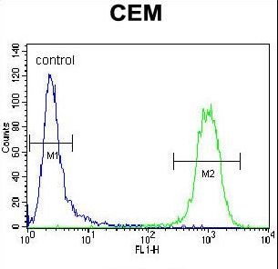 ATF3 Antibody - ATF3 Antibody flow cytometry of CEM cells (right histogram) compared to a negative control cell (left histogram). FITC-conjugated goat-anti-rabbit secondary antibodies were used for the analysis.