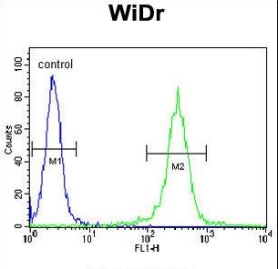 ATP5B / ATP Synthase Beta Antibody - ATP5B Antibody flow cytometry of WiDr cells (right histogram) compared to a negative control cell (left histogram). FITC-conjugated goat-anti-rabbit secondary antibodies were used for the analysis.