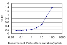 BAF60B / SMARCD2 Antibody - Detection limit for recombinant GST tagged SMARCD2 is approximately 1 ng/ml as a capture antibody.