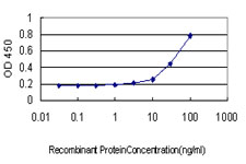 BANF1 / BAF / BCRP1 Antibody - Detection limit for recombinant GST tagged BANF1 is approximately 1 ng/ml as a capture antibody.