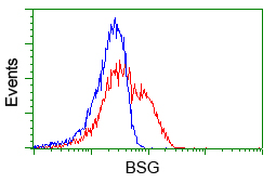 Basigin / Emmprin / CD147 Antibody - HEK293T cells transfected with either overexpress plasmid (Red) or empty vector control plasmid (Blue) were immunostained by anti-BSG antibody, and then analyzed by flow cytometry.