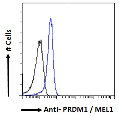 BLIMP1 / PRDM1 Antibody - PRDM1 / MEL1 Antibody Flow cytometric analysis of paraformaldehyde fixed A431 cells (blue line), permeabilized with 0.5% Triton. Primary incubation 1hr (10ug/ml) followed by Alexa Fluor 488 secondary antibody (1ug/ml). IgG control: Unimmunized goat IgG (black line) followed by Alexa Fluor 488 secondary antibody.