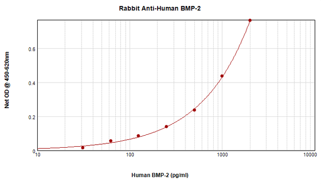 BMP2 Antibody - Anti-Human/Murine/Rat BMP-2 Sandwich ELISA