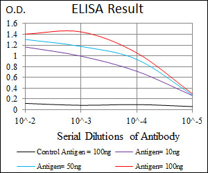 BPIFA2 / SPLUNC2 Antibody - Red: Control Antigen (100ng); Purple: Antigen (10ng); Green: Antigen (50ng); Blue: Antigen (100ng);
