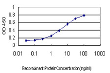 BUB1B / BubR1 Antibody - Detection limit for recombinant GST tagged BUB1B is approximately 0.03 ng/ml as a capture antibody.