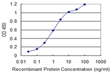 c-Kit / CD117 Antibody - Detection limit for recombinant GST tagged KIT is 0.03 ng/ml as a capture antibody.