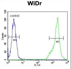 C4BPA / C4BP Alpha Antibody - C4BPA Antibody flow cytometry of WiDr cells (right histogram) compared to a negative control cell (left histogram). FITC-conjugated goat-anti-rabbit secondary antibodies were used for the analysis.