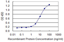 CACNA2D2 Antibody - Detection limit for recombinant GST tagged CACNA2D2 is 0.3 ng/ml as a capture antibody.