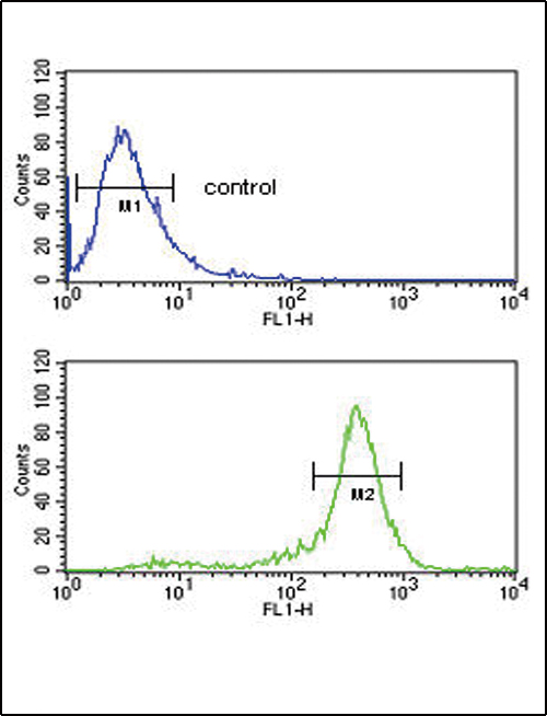 CALR / Calreticulin Antibody - CALR Antibody flow cytometry of HepG2 cells (bottom histogram) compared to a negative control cell (top histogram). FITC-conjugated goat-anti-rabbit secondary antibodies were used for the analysis.