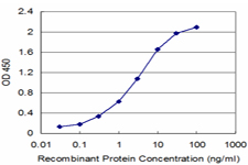 CBS Antibody - Detection limit for recombinant GST tagged CBS is approximately 0.03 ng/ml as a capture antibody.
