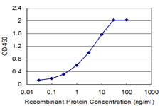 CBS Antibody - Detection limit for recombinant GST tagged CBS is approximately 0.03 ng/ml as a capture antibody.