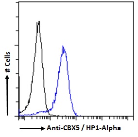 CBX5 / HP1 Alpha Antibody - CBX5 / HP1 Alpha antibody flow cytometric analysis of paraformaldehyde fixed HeLa cells (blue line), permeabilized with 0.5% Triton. Primary incubation 1hr (10ug/ml) followed by Alexa Fluor 488 secondary antibody (2ug/ml). IgG control: Unimmunized goat IgG (black line) followed by Alexa Fluor 488 secondary antibody.