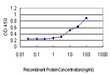 CCNH / Cyclin H Antibody - Detection limit for recombinant GST tagged CCNH is approximately 1 ng/ml as a capture antibody.