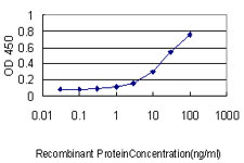 CCT5 / TCP1 Epsilon Antibody - Detection limit for recombinant GST tagged CCT5 is approximately 0.3 ng/ml as a capture antibody.