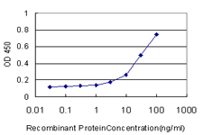 CD177 Antibody - Detection limit for recombinant GST tagged CD177 is approximately 3 ng/ml as a capture antibody.