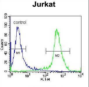 CD45 / LCA Antibody - PTPRC Antibody flow cytometry of Jurkat cells (right histogram) compared to a negative control cell (left histogram). FITC-conjugated donkey-anti-rabbit secondary antibodies were used for the analysis.