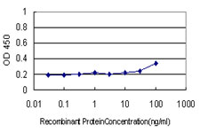 CD58 Antibody - Detection limit for recombinant GST tagged CD58 is approximately 0.3 ng/ml as a capture antibody.