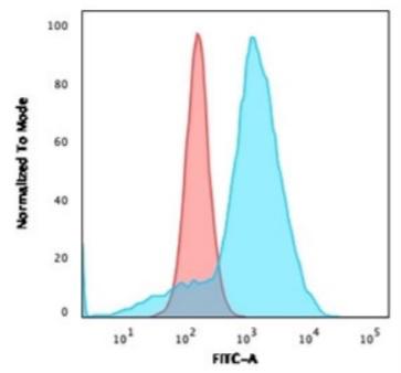 CD68 Antibody - Flow cytometry testing of fixed human U-87 MG cells with CD63 antibody (clone C68/684); Red = isotype control, Blue = CD63 antibody.