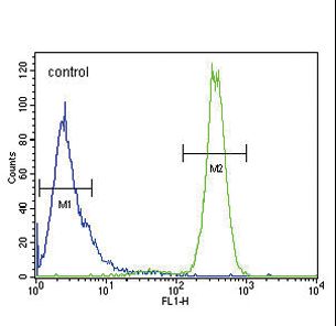 CDKN2D / p19 INK4d Antibody - p19 Antibody flow cytometry of HeLa cells (right histogram) compared to a negative control cell (left histogram). FITC-conjugated goat-anti-rabbit secondary antibodies were used for the analysis.