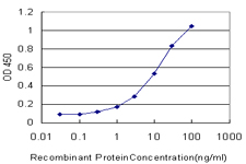 CES2 / Esterase Antibody - Detection limit for recombinant GST tagged CES2 is approximately 0.3 ng/ml as a capture antibody.