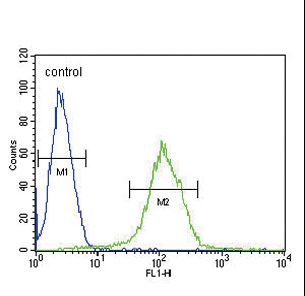 CFHR5 Antibody - CFHR5 Antibody flow cytometry of CEM cells (right histogram) compared to a negative control cell (left histogram). FITC-conjugated goat-anti-rabbit secondary antibodies were used for the analysis.