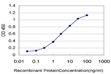 CGGBP1 Antibody - Detection limit for recombinant GST tagged CGGBP1 is approximately 0.03 ng/ml as a capture antibody.