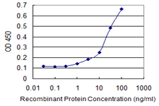 CHD1 Antibody - Detection limit for recombinant GST tagged CHD1 is 0.3 ng/ml as a capture antibody.