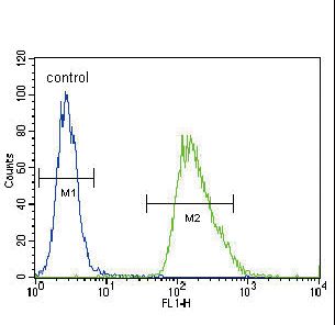CHGA / Chromogranin A Antibody - CMGA Antibody flow cytometry of A549 cells (right histogram) compared to a negative control cell (left histogram). FITC-conjugated goat-anti-rabbit secondary antibodies were used for the analysis.