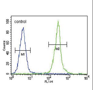 CLDN16 / Claudin 16 Antibody - CLDN16 Antibody flow cytometry of MDA-MB435 cells (right histogram) compared to a negative control cell (left histogram). FITC-conjugated goat-anti-rabbit secondary antibodies were used for the analysis.