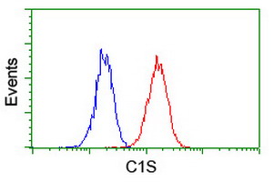 Complement C1s Antibody - Flow cytometry of Jurkat cells, using anti-C1S antibody (Red), compared to a nonspecific negative control antibody (Blue).