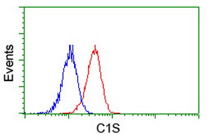Complement C1s Antibody - Flow cytometry of Jurkat cells, using anti-C1S antibody (Red), compared to a nonspecific negative control antibody (Blue).