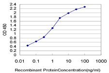 COX17 Antibody - Detection limit for recombinant GST tagged COX17 is approximately 0.03 ng/ml as a capture antibody.