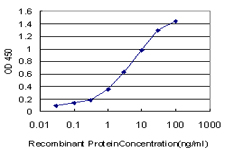 CPS1 Antibody - Detection limit for recombinant GST tagged CPS1 is approximately 0.03 ng/ml as a capture antibody.